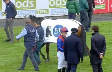 aidan o'brien fansite twitter